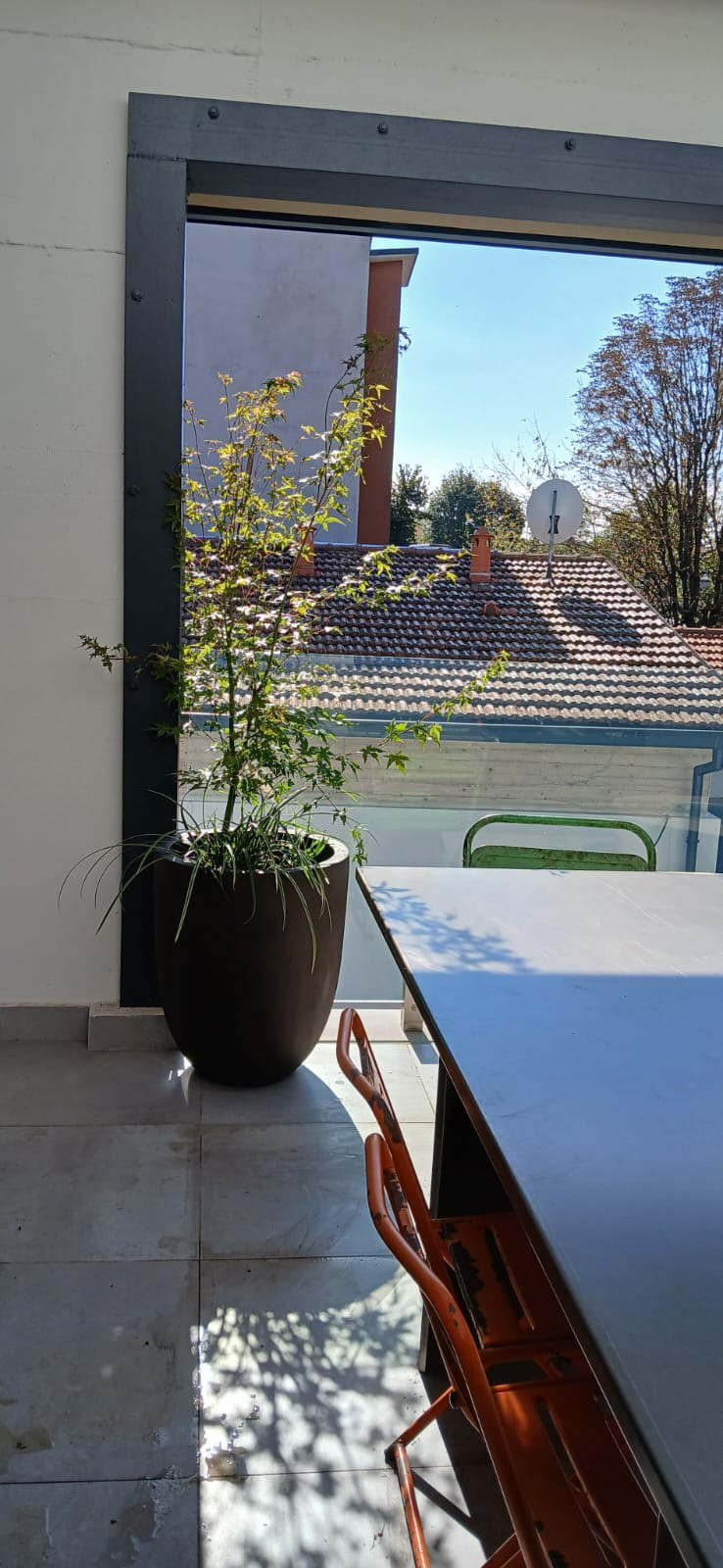 Realizzazione Wild in the city