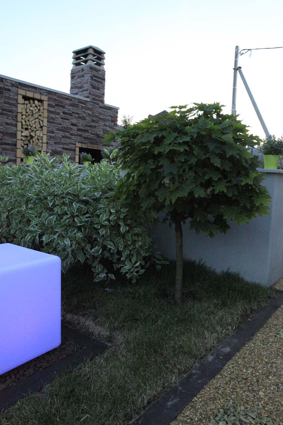 Программа Дачный Ответ