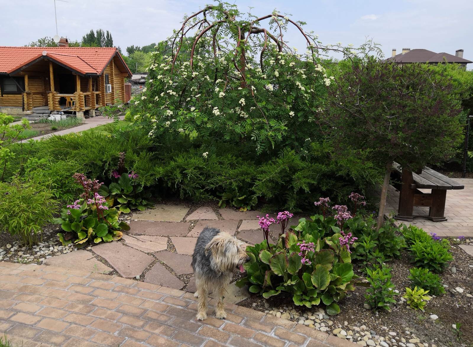 Сад на двух ярусах