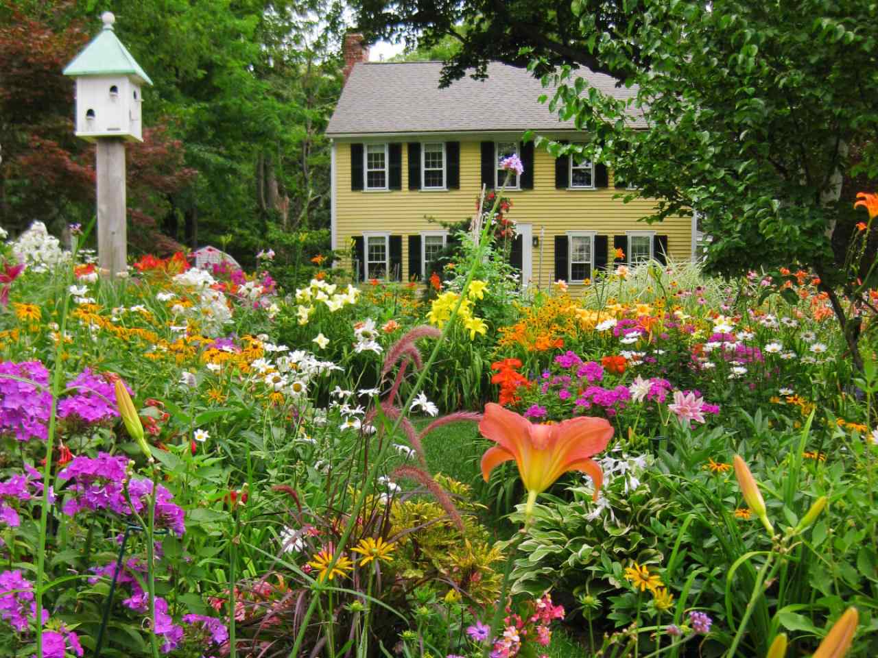PERENNIAL BORDER IN ITS 5 YEAR. MUCH OF THIS WAS STARTED IN 2 GALLON PLANTS.  PETER ATKINS AND ASSOCIATES, LLC