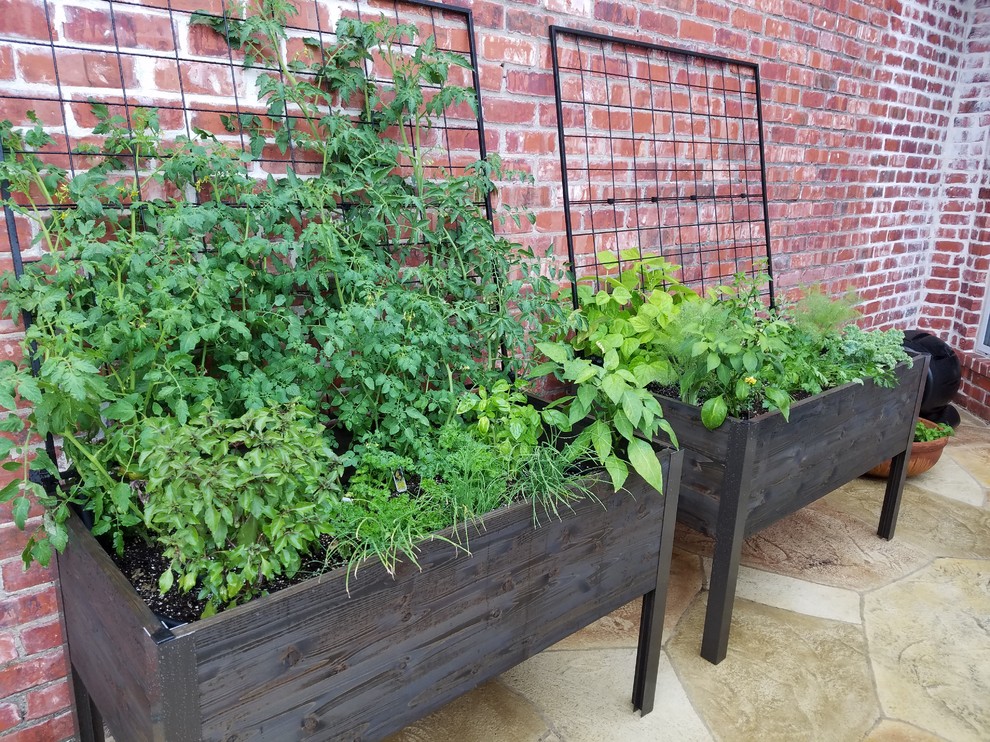 Inspiration for a small traditional courtyard patio in Dallas with a container garden.