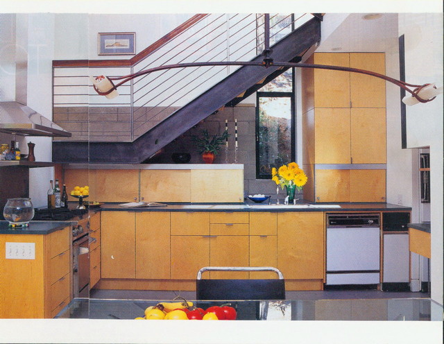 Small/Shapiro Residence contemporary-kitchen