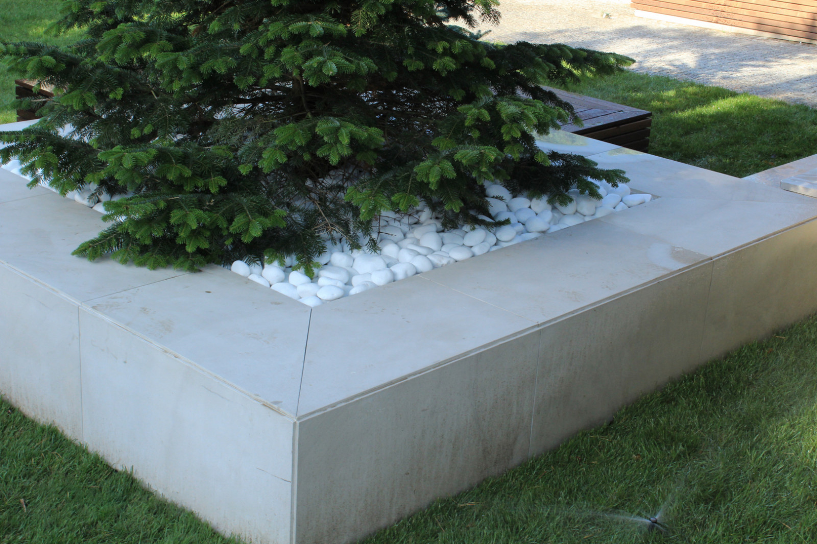 Черноголовка