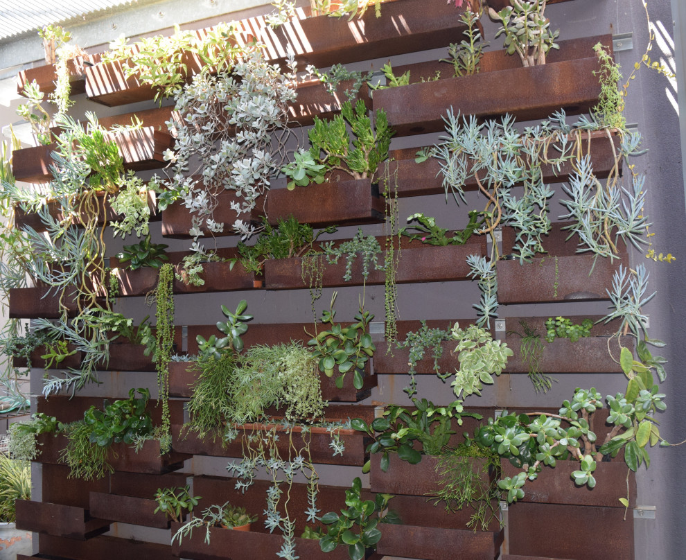 This is an example of a contemporary garden in Perth.
