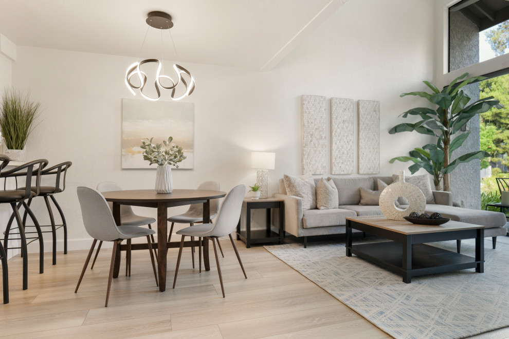 Kleines, Offenes Modernes Wohnzimmer mit weißer Wandfarbe, hellem Holzboden, Eckkamin, Kaminumrandung aus Metall und gewölbter Decke in Orange County