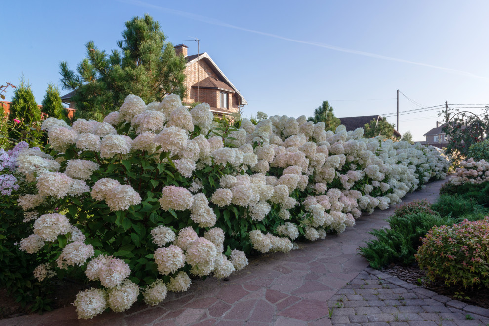 К/П "Лесная опушка-1"