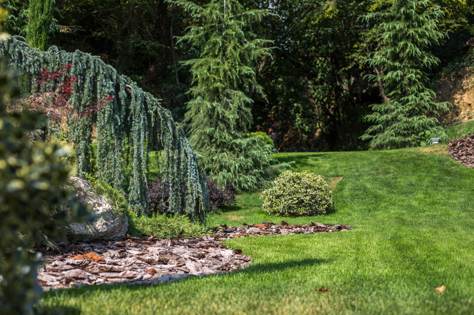 Сириус Сочи