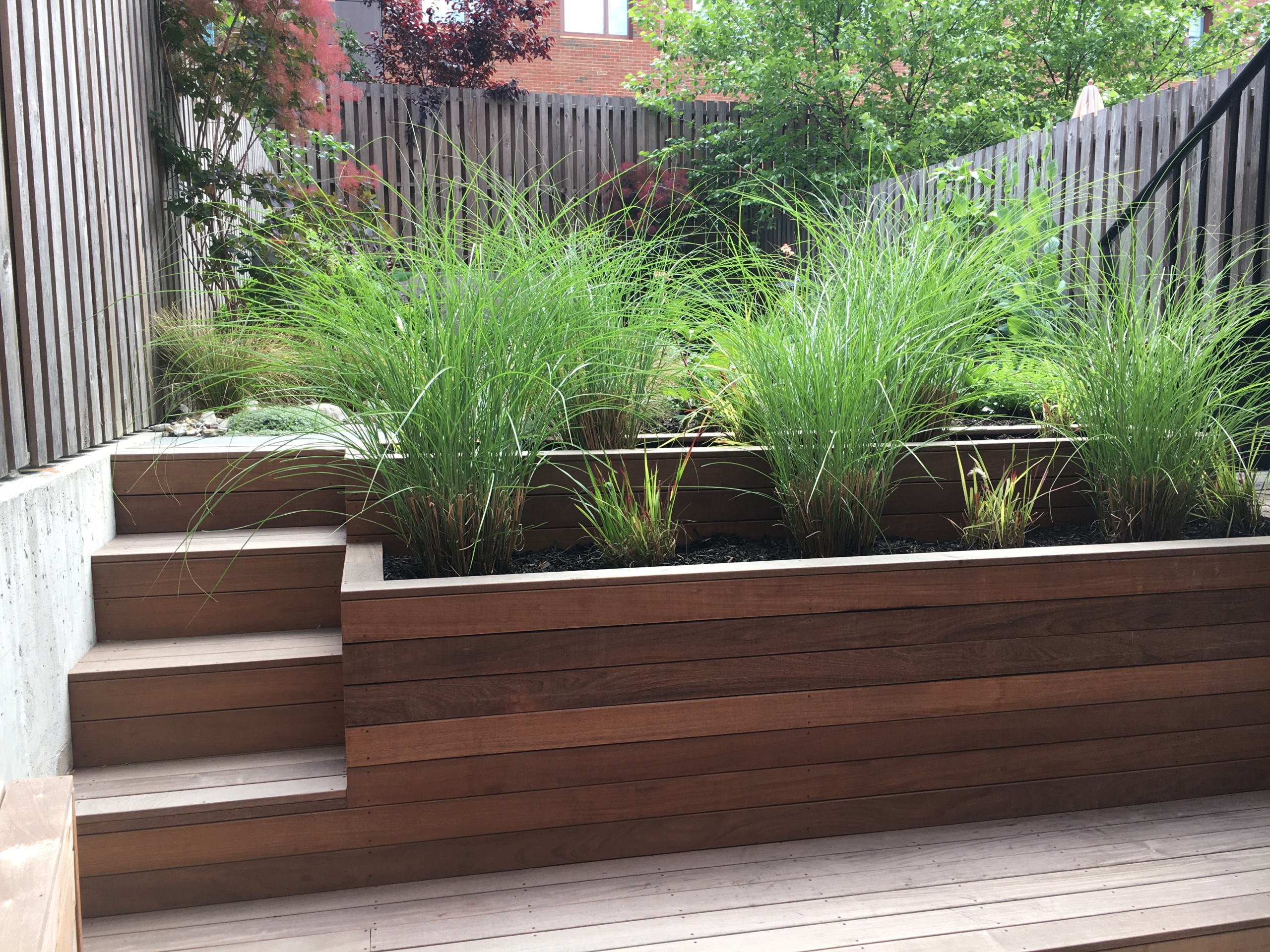 Modern Garden with Curved Corten Border