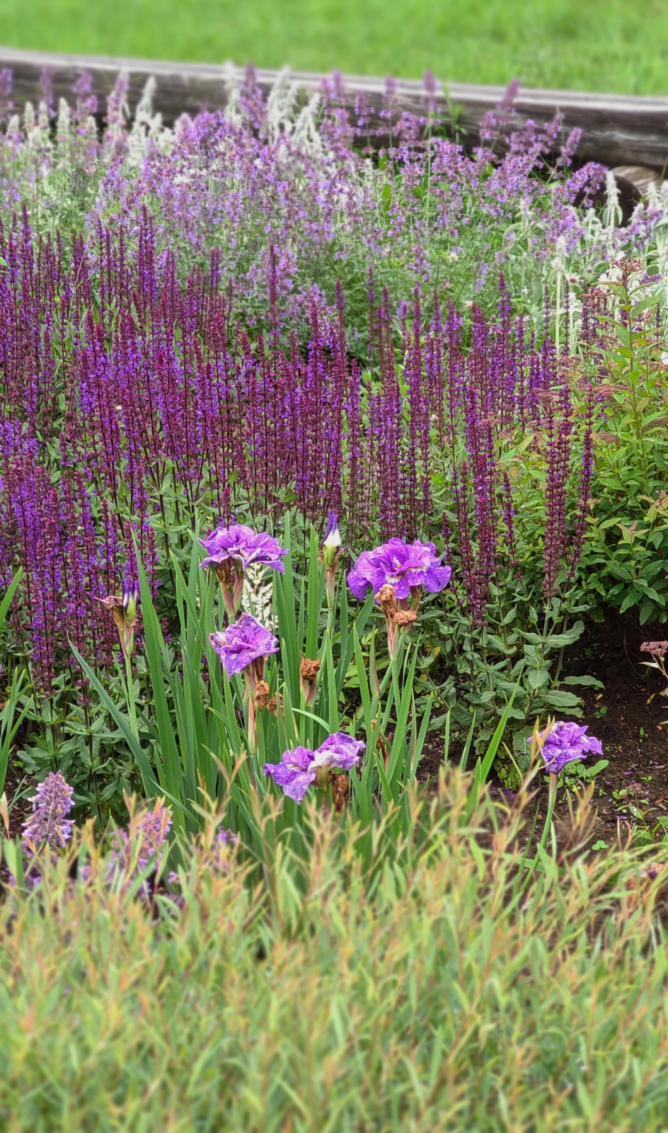 Проект "Волга"