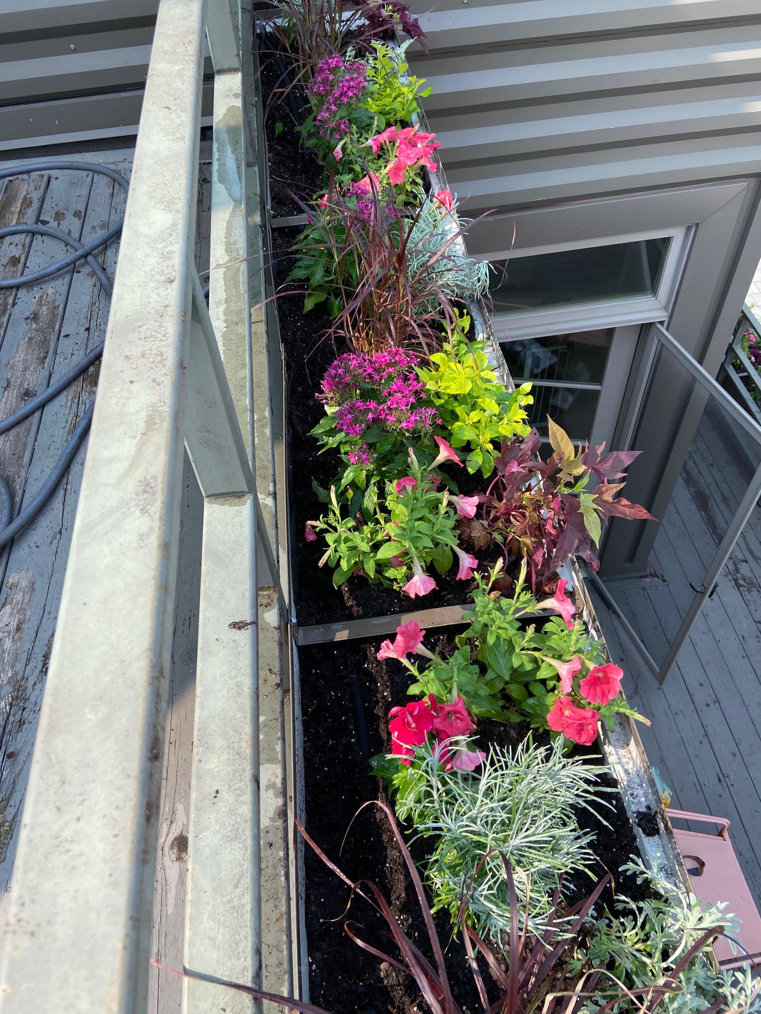 Fine Tuning an Established Garden