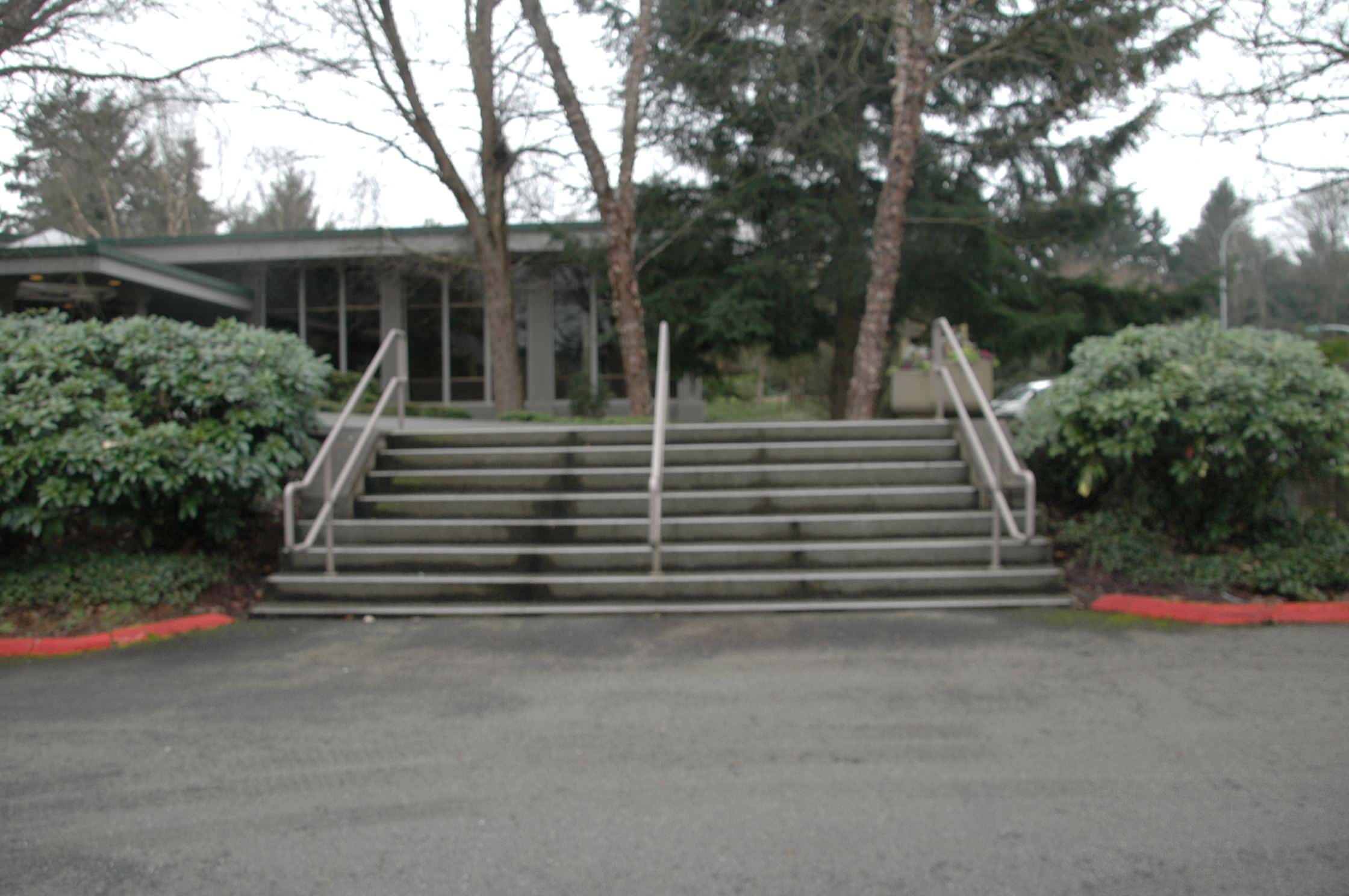Existing steps at drive