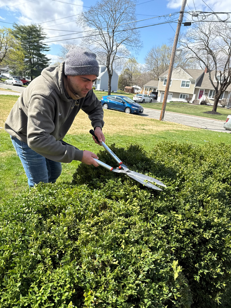 Fine Gardening