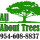 All About Trees Tree Service