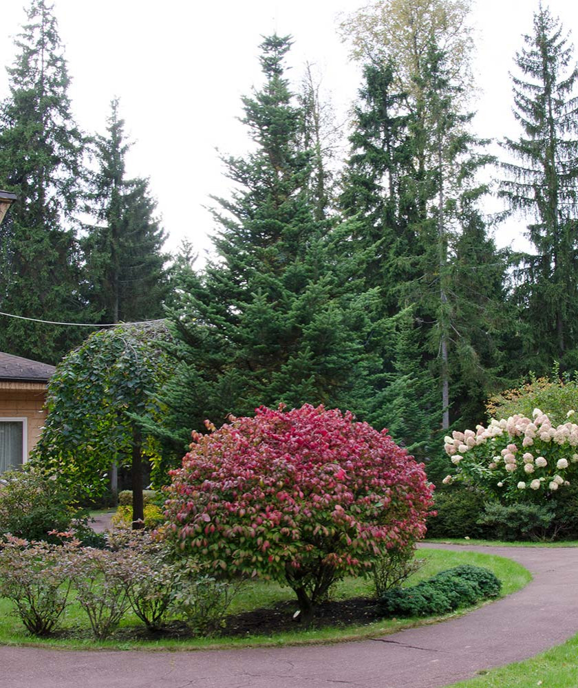 Ландшафтный сад КП "Новоглаголево", Киевское шоссе