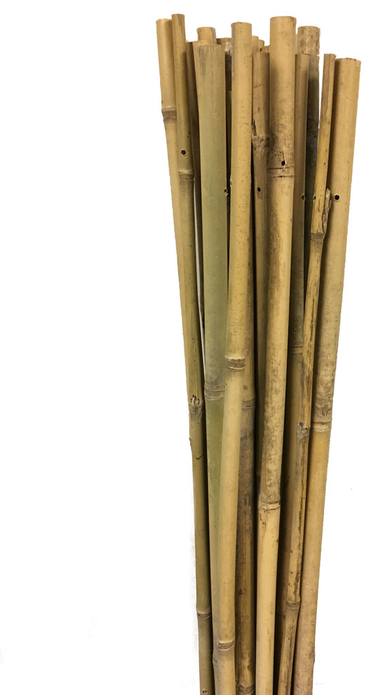 Bamboo Stakes 48", 20 Piece Bundle