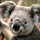 allison_coleman31