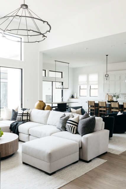 Orange County Modern contemporain-salon