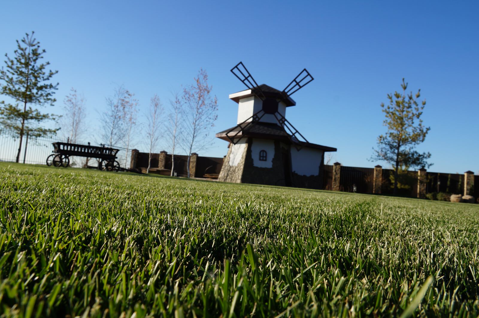 Ландшафтный дизайн