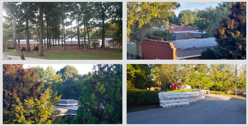TPO Roofs