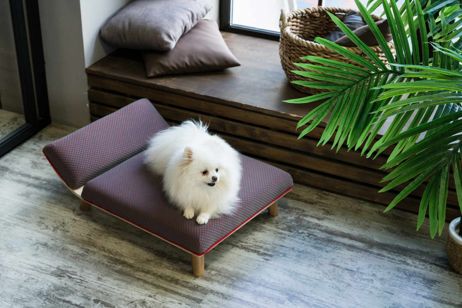 Авторская мебель для животных. Модель SONO-R