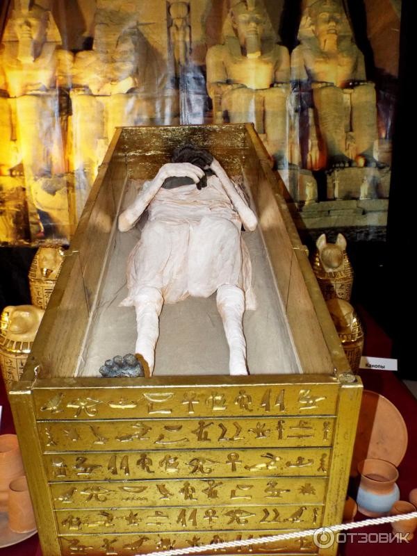 Передвижная выставка "Египетские мумии. У истоков времён"