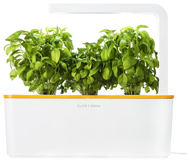 Smart Herb Garden Starter Kit, Orange