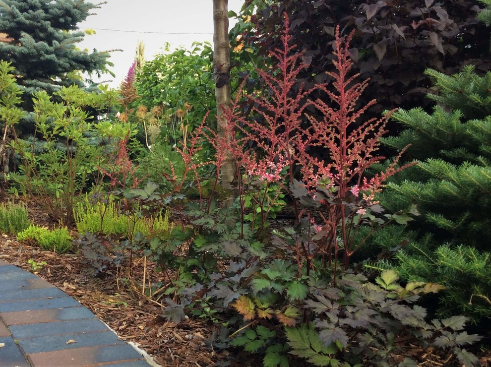 СНЫ О ЧЕМ_ТО БОЛЬШЕМ...