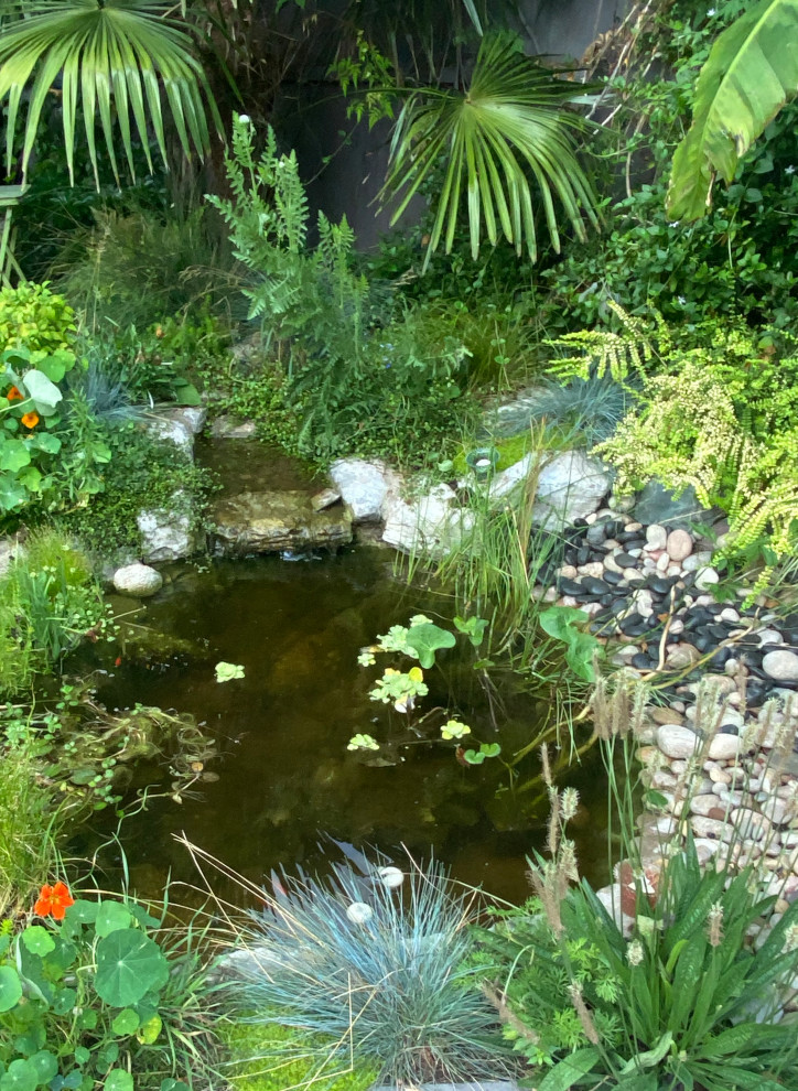 Imagen de jardín tropical de tamaño medio en verano en patio trasero con estanque, exposición total al sol, adoquines de piedra natural y con madera