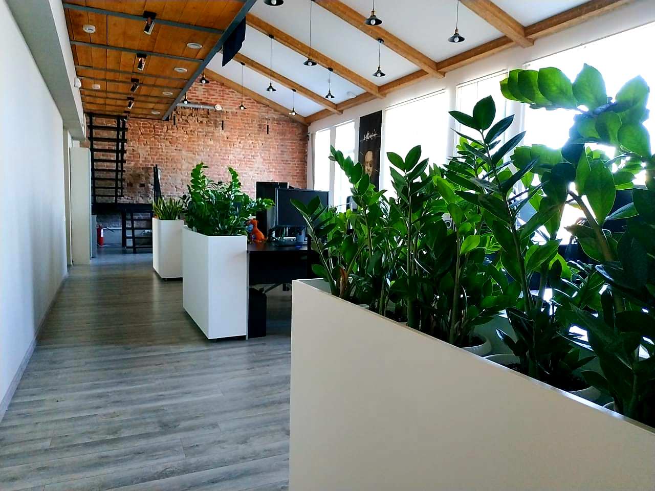 Озеленение офиса компании Кефир