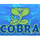 Cobra Pools & Spas