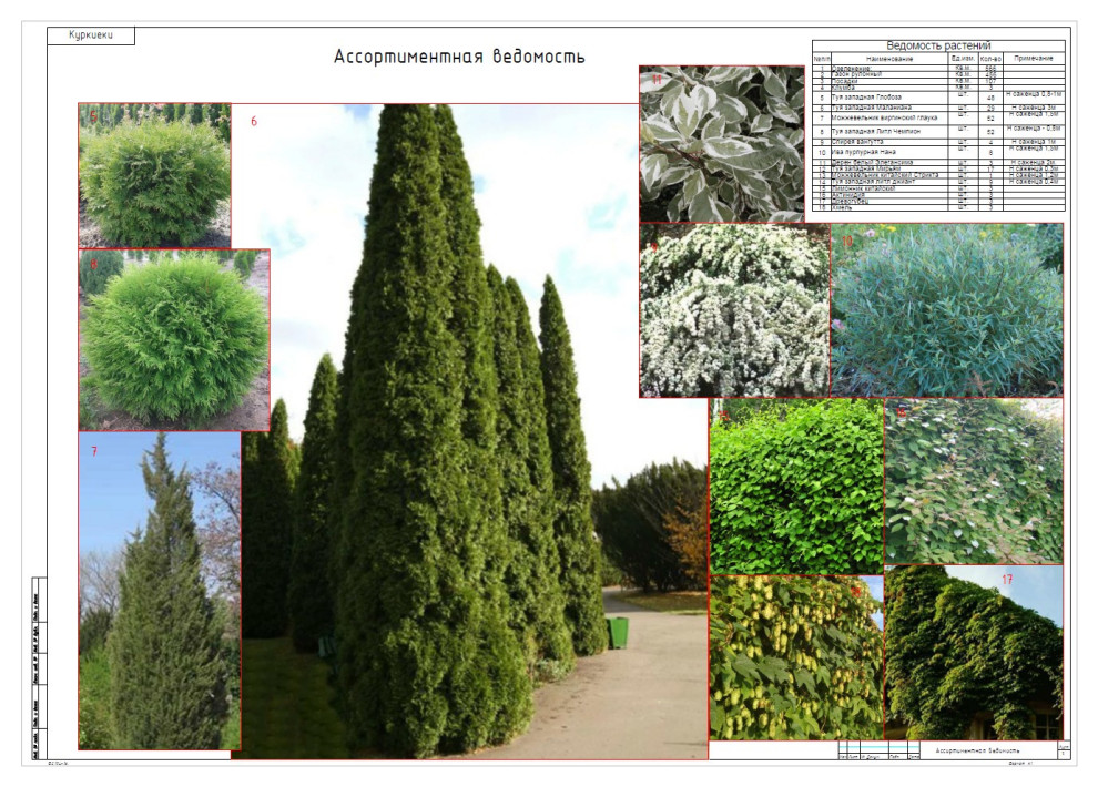 Куркиёки. Кафе