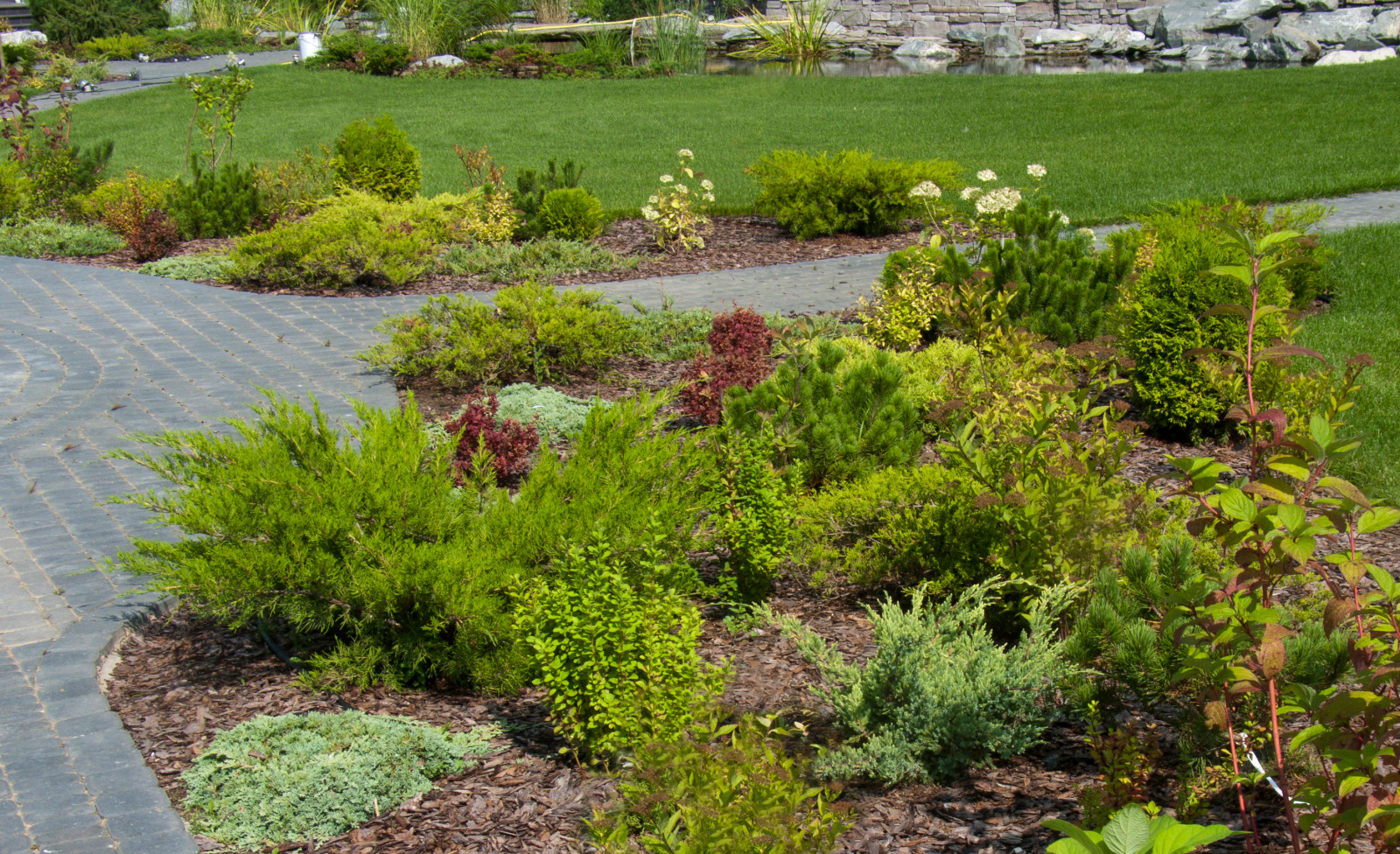 Зеленый сад