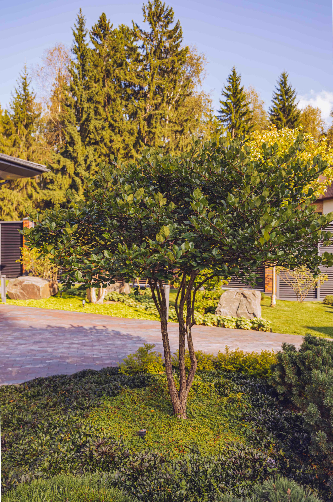 Архитектурное Решение в Пейзажном Стиле