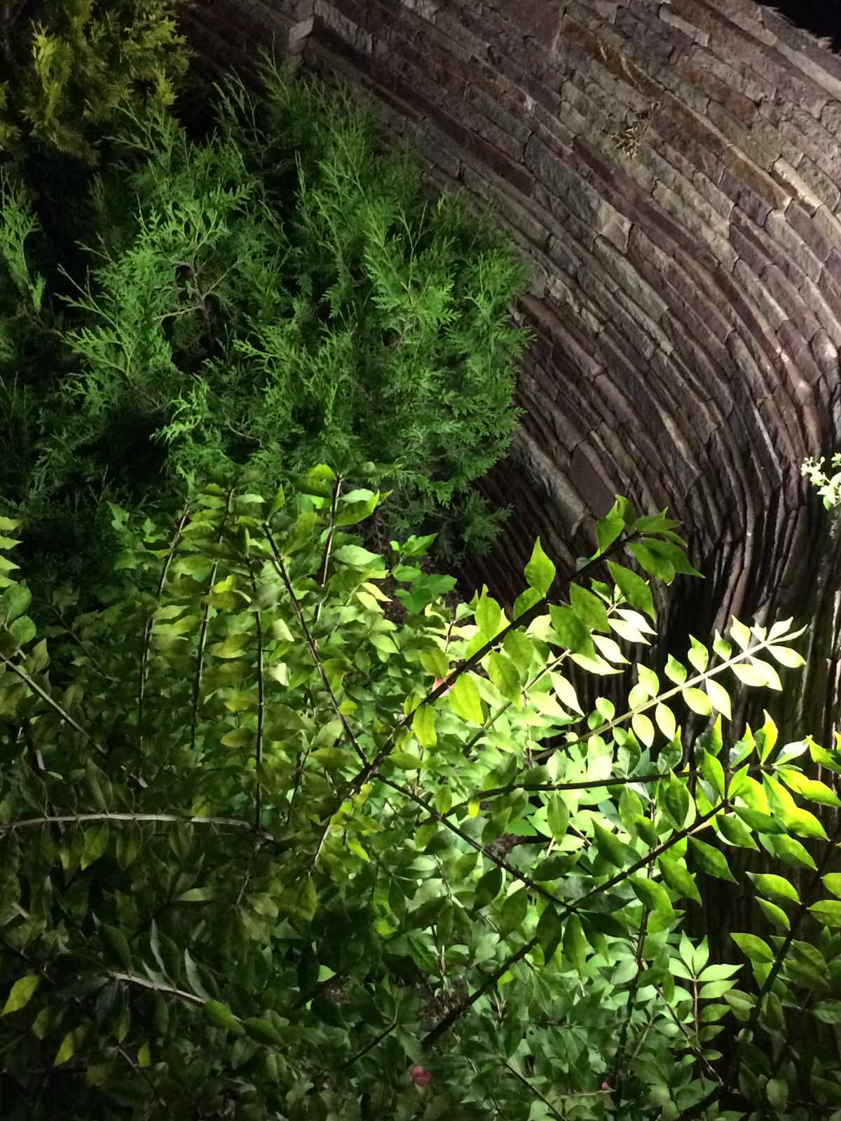 Светодиодное ландшафтное освещение пос. Росинка