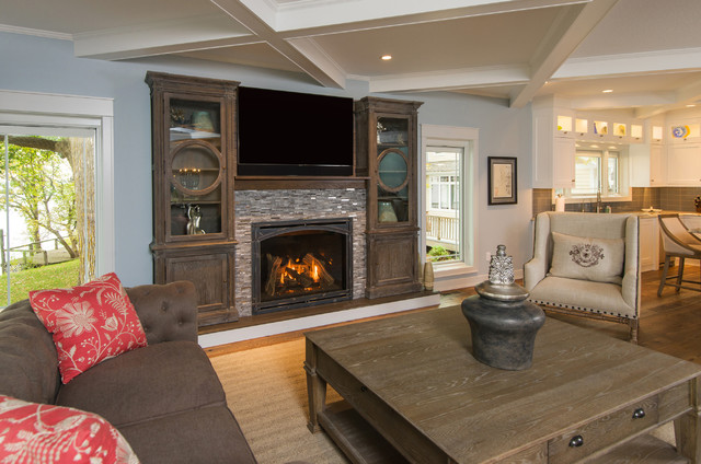 Kozy Heat Fireplaces Traditional Living Room Minneapolis