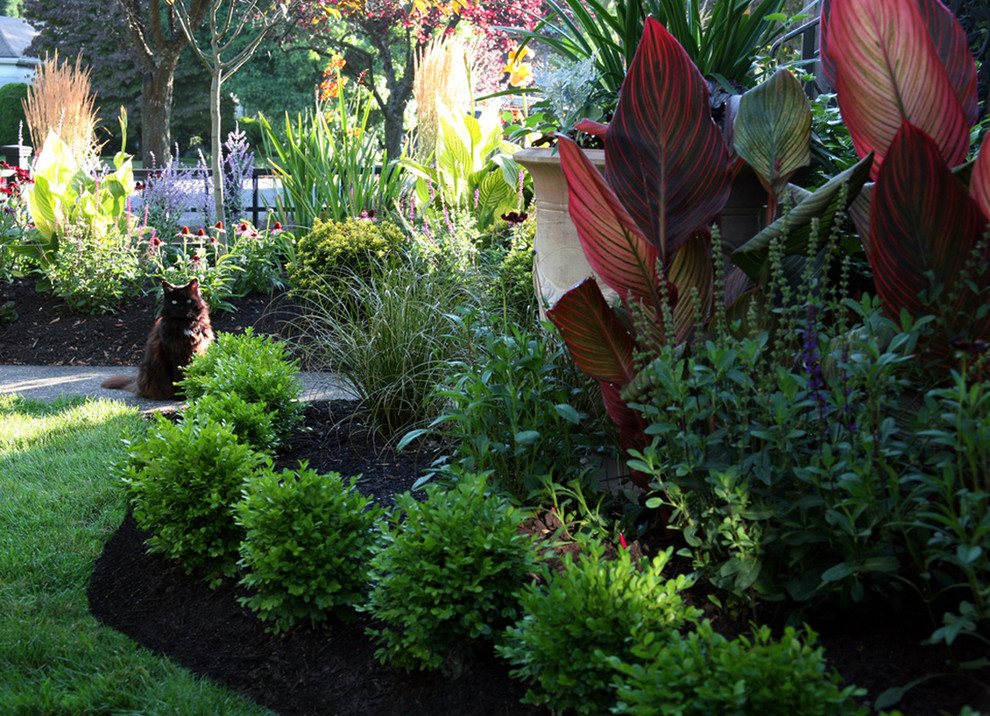 Design ideas for a small transitional front yard full sun formal garden for summer in Portland.