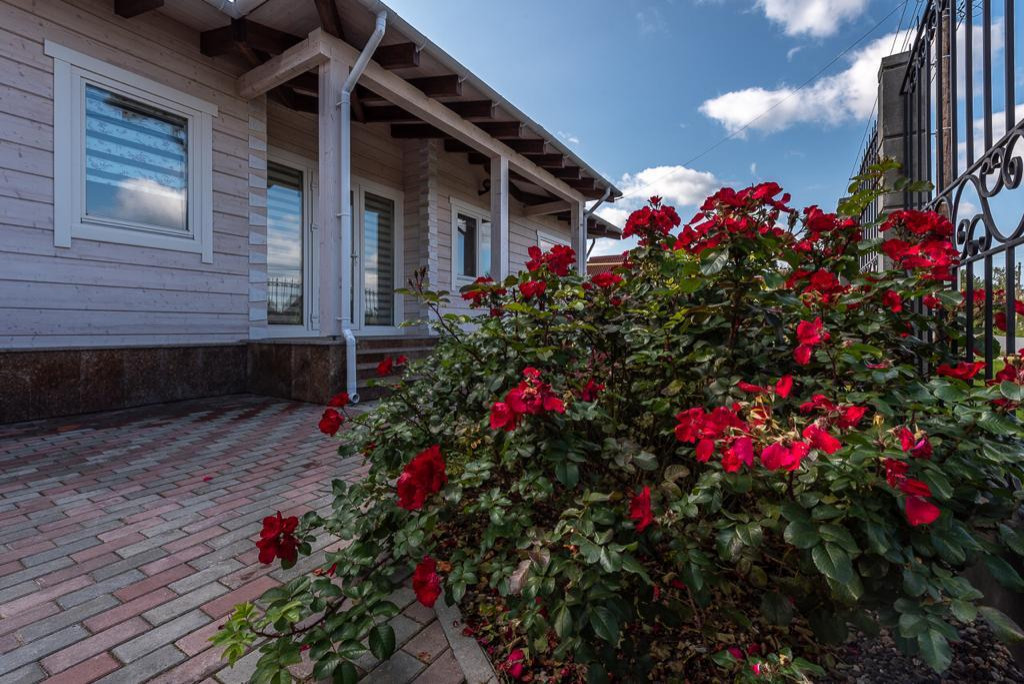 Маленький камерный сад.