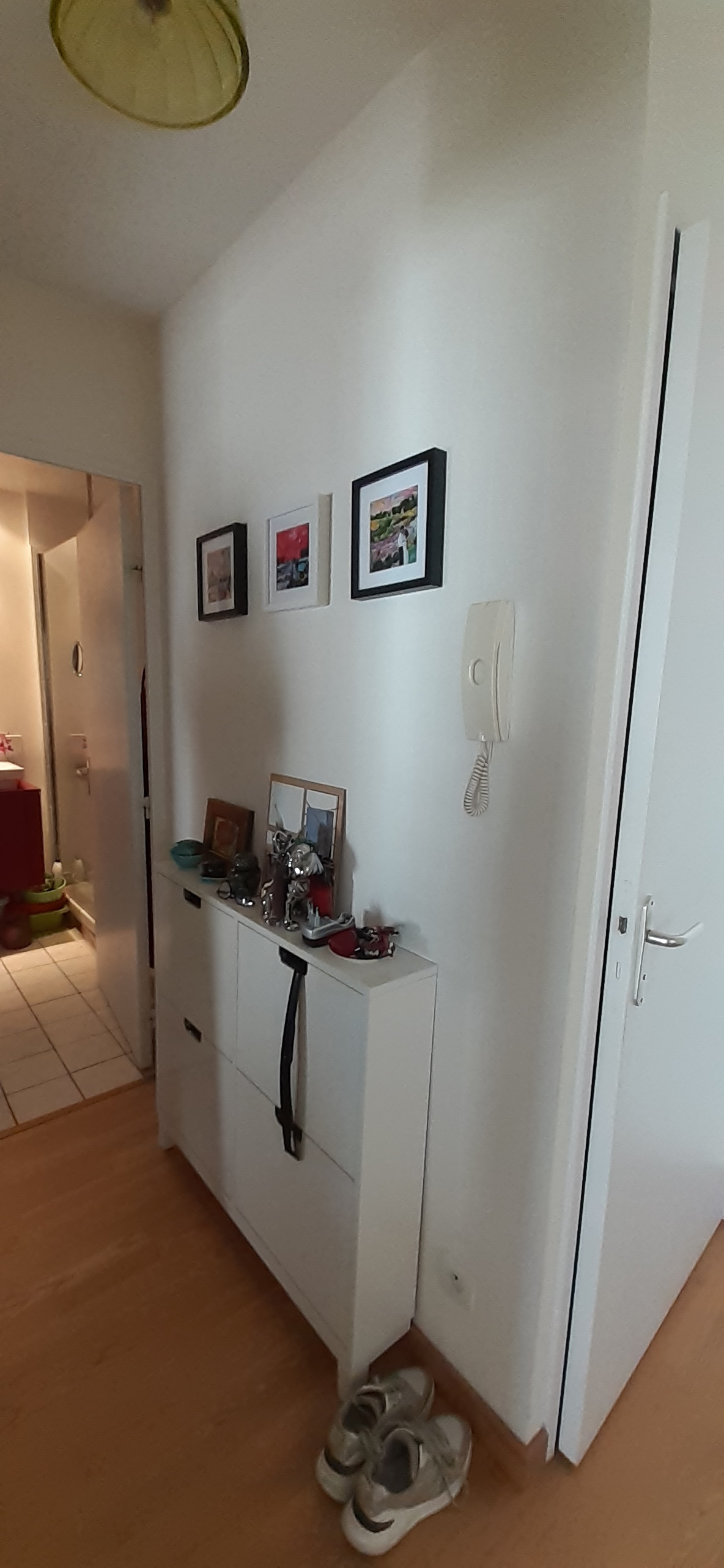 Rénovation avec beaucoup de rangements  pour un appartement en ville