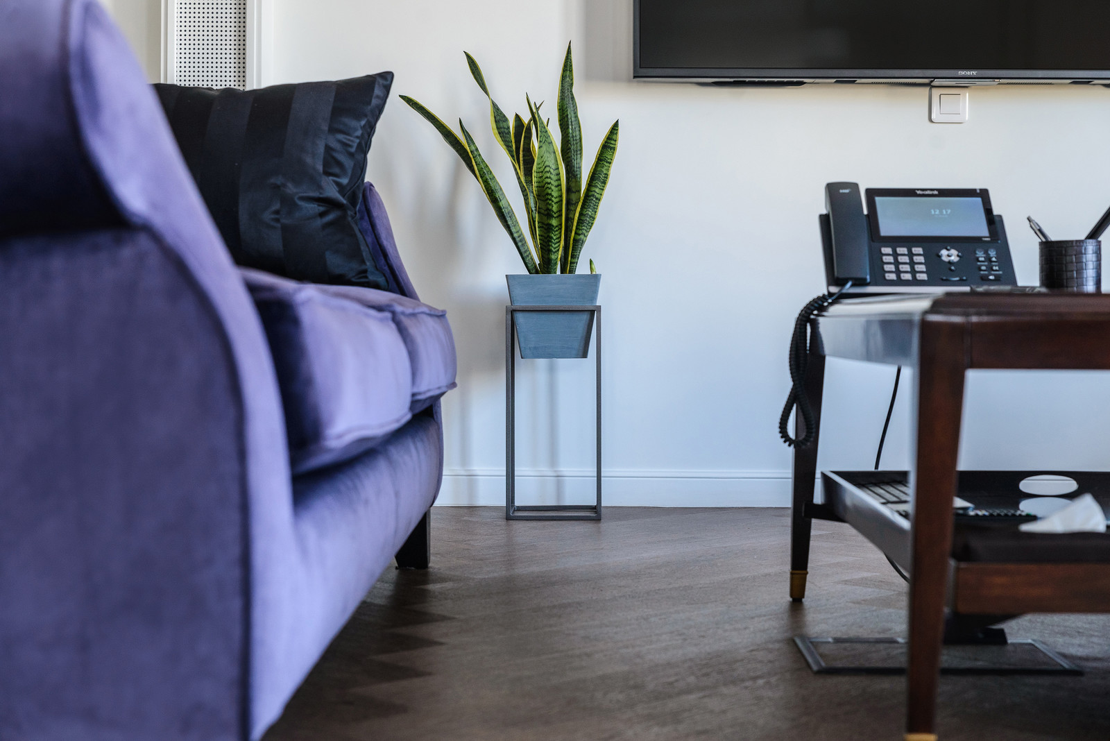 Озеленение холла помещения и кабинета руководителя