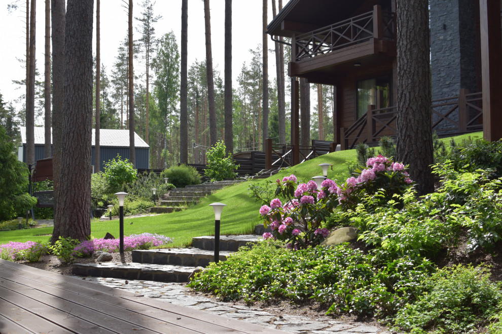 Сад в Карельском лесу