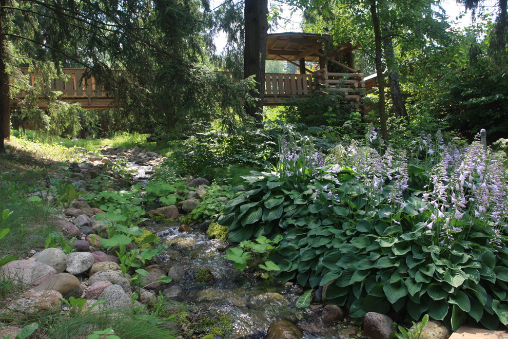 Лесная жизнь