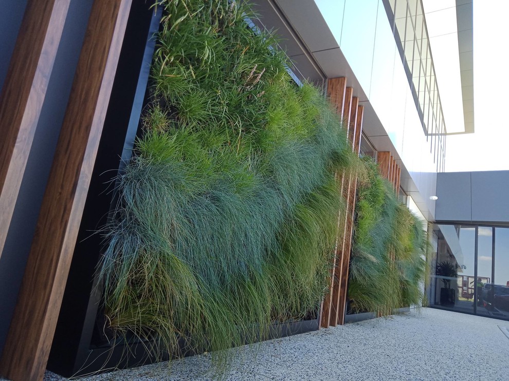 Design ideas for a large contemporary courtyard shaded garden in Melbourne with a vertical garden.