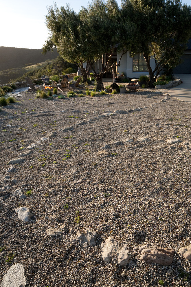 Photo of a mid-sized contemporary backyard partial sun garden in Santa Barbara with gravel.