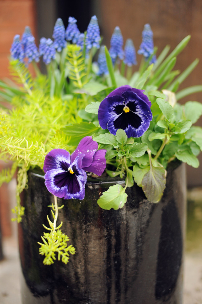 Design ideas for a small craftsman shade front yard garden path in Chicago for spring.