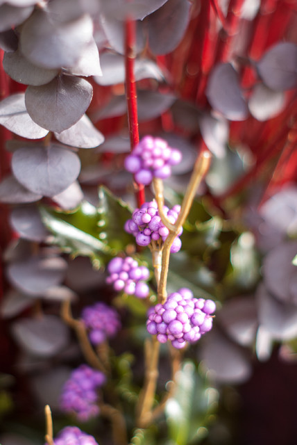 Winter Decorations klassisch-garten