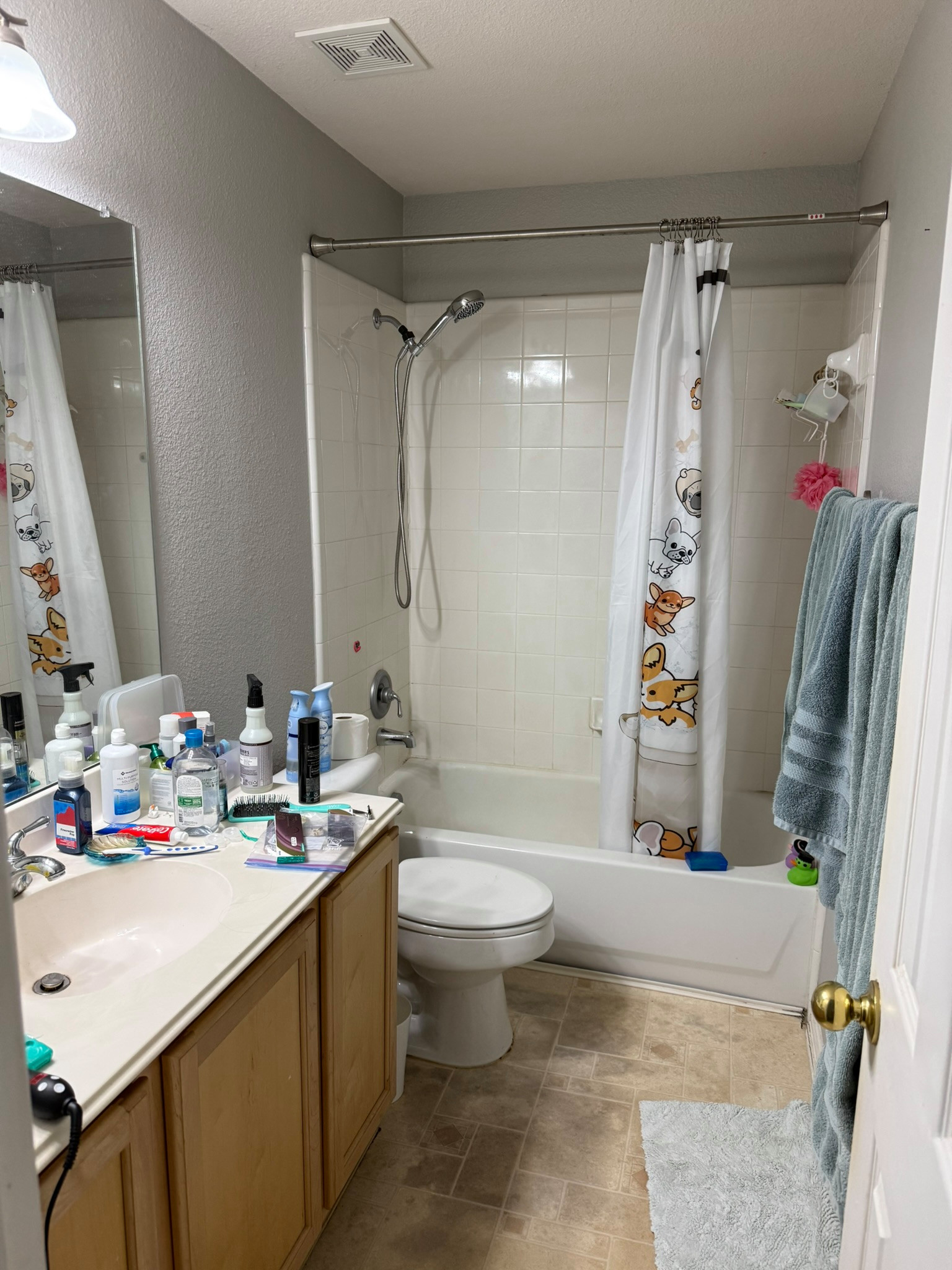 Allen TX - Guest Bathoom Transformation