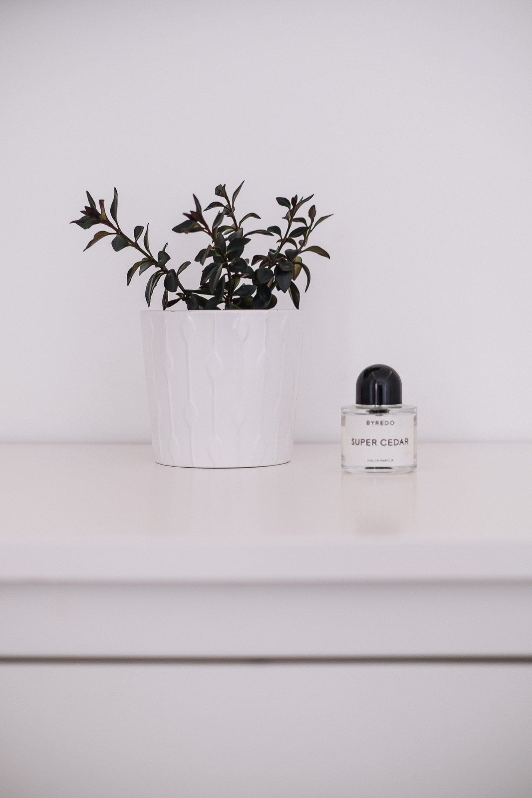 Квартира для Анны