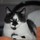 Last commented by Diane6485
