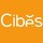 Cibes Lift Deutschland GmbH