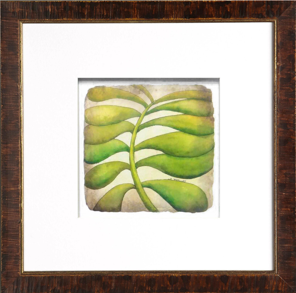 Succulent #2 Ralph Lauren Tortoise Artwork